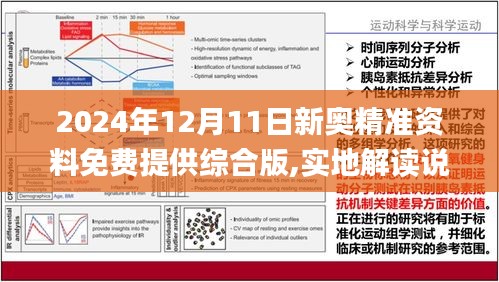 新奥2024年正版资料免费大全,文明解释解析落实