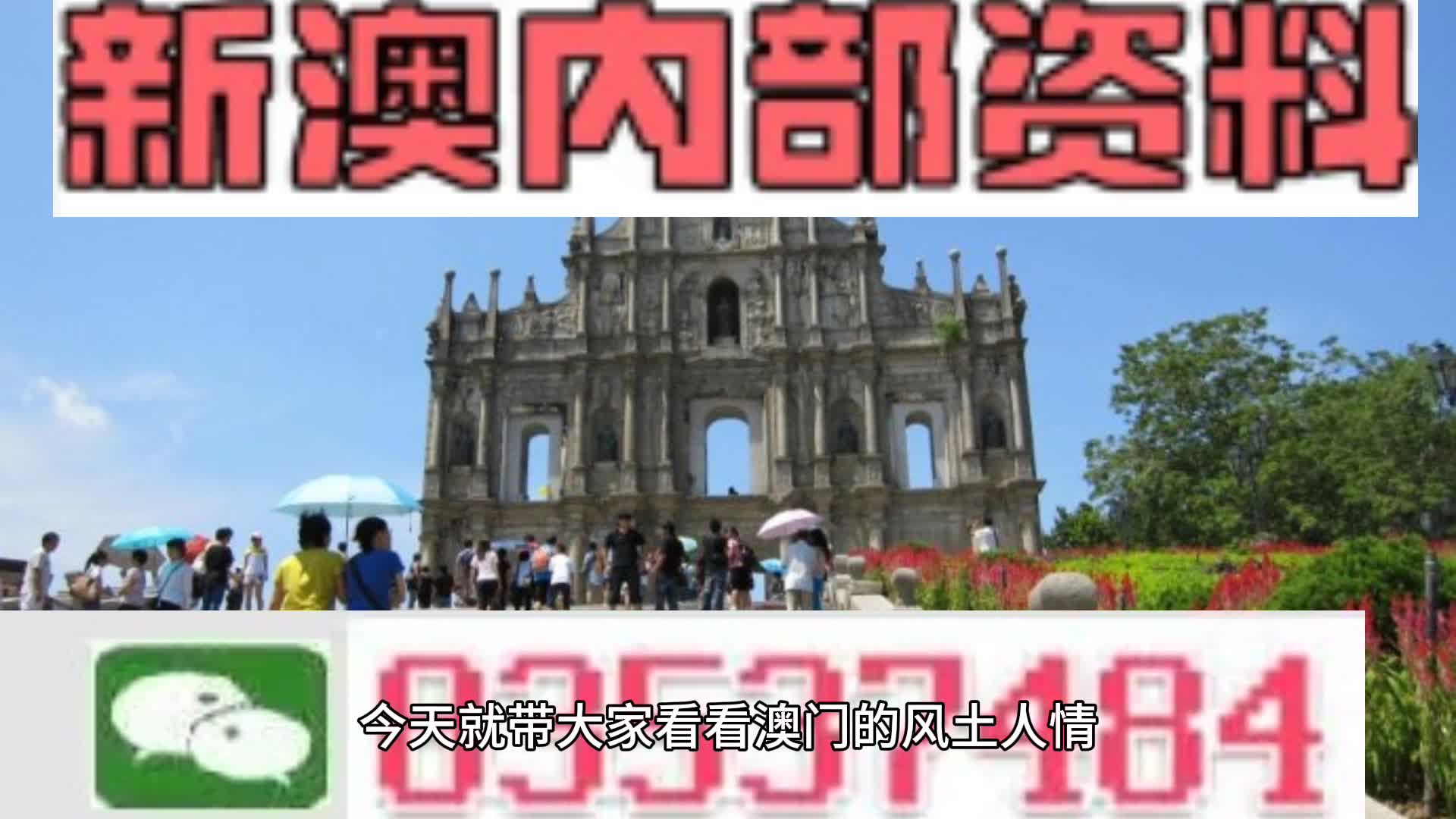 2024新澳一码一特,精选资料解析大全